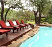 Amakhosi Lodge safari accommodation