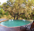 Hoyo Hoyo Five Star Luxury  Game Lodge
