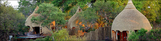 Enjoy Luxury Accommodation in the African Bush